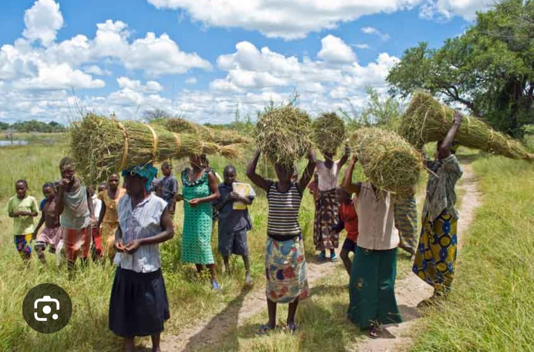 Community in South Sudan